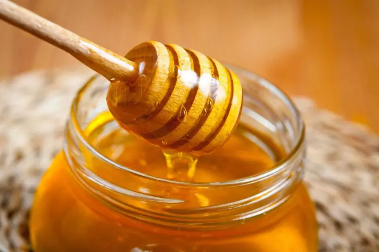 Manuka Honey: The Miracle Honey from New Zealand