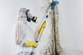 Comprehensive Guide to Mold Remediation: Techniques, Safety, and Prevention