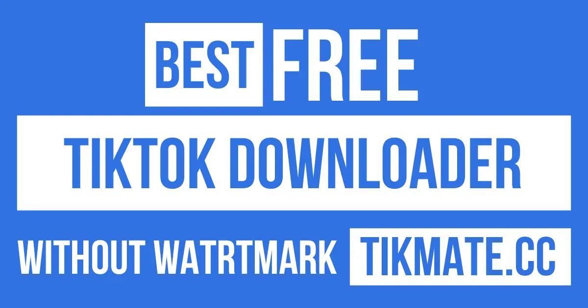 TikTok downloader