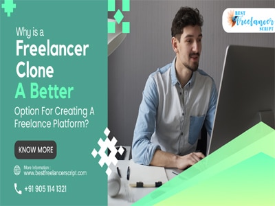 why-is-a-freelancer-clone-a-better-option-for-creating-a-freelance-platform12