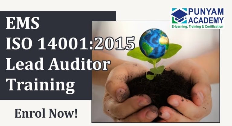 Why ISO 14001 Lead Auditor Training Is Essential for Sustainability Professionals?