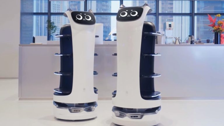 Meet BellaBot: The Robot Cat That’s Taking the World by Storm