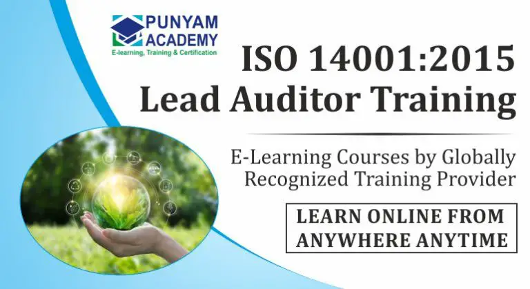 Eco-Friendly Auditing: The Impact of ISO 14001 Lead Auditor Certification