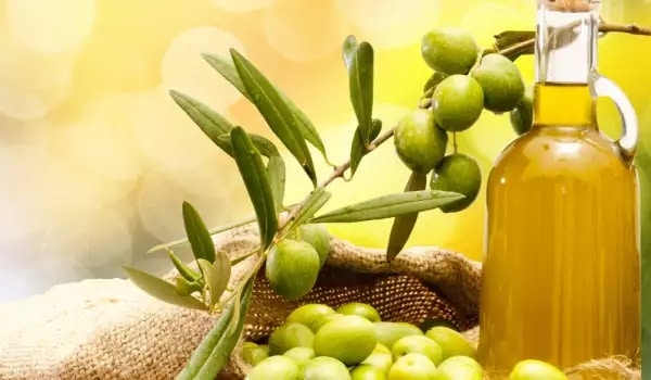 Decoding the Liquid Gold Market: Analyzing Virgin Olive Oil Prices