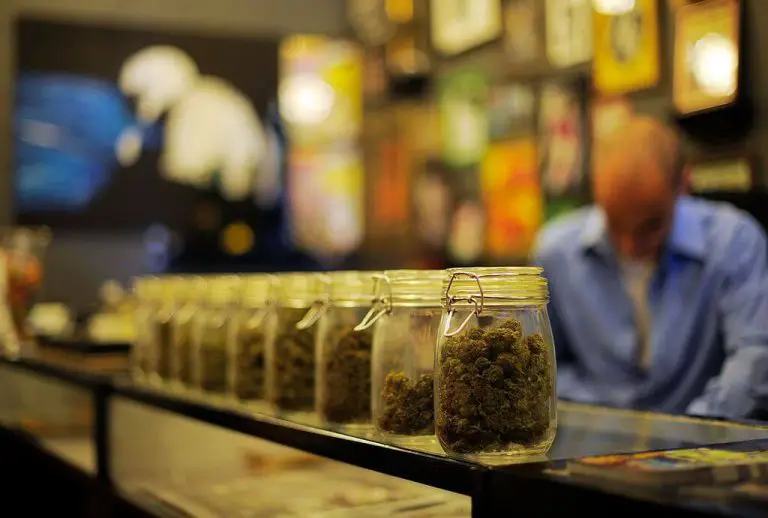 A Guide to the Best Marijuana Shops in Berkeley