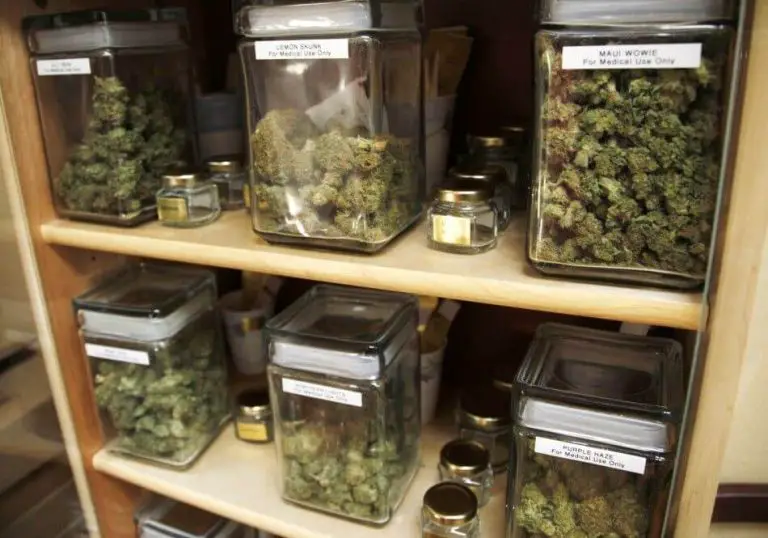 A Journey Through Berkeley’s Cannabis Dispensaries