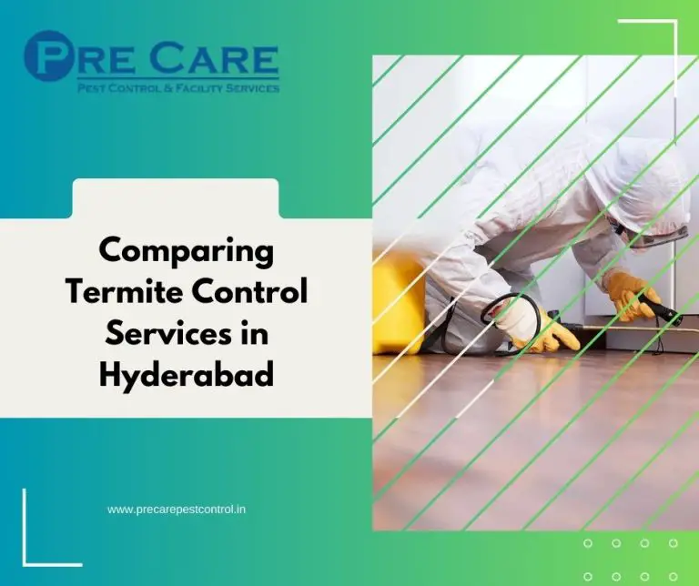 Comparing Termite Control Services in Hyderabad: Choosing the Right Protection