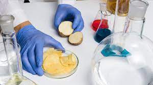 Food Safety Testing Market Insights, Trends, Growth, and Industry Forecast 2023-2028