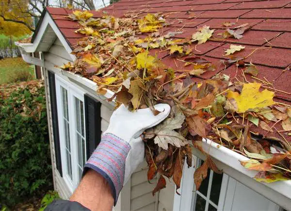 Navigating the Downpour: The Ultimate Guide to DIY Gutter Cleaning