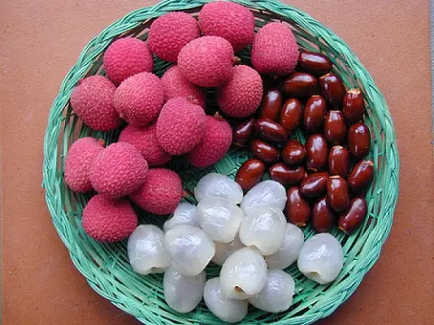 Lychee Processing