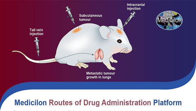 Routes of Drug Administration Platform