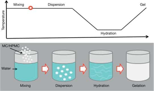 Prefeasibility Report on a Methyl Cellulose Manufacturing Unit 2023: Raw Material Requirements and Cost