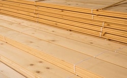 A Comprehensive Buyer’s Guide to Marine Plywood: Everything You Need to Know