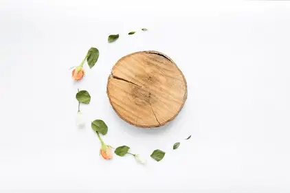 Why Customised Wooden Coasters Are The Perfect Addition To Your Home Decor In Singapore