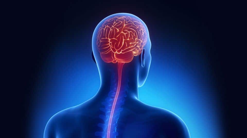 Progressive Multifocal Leukoencephalopathy Treatment Market