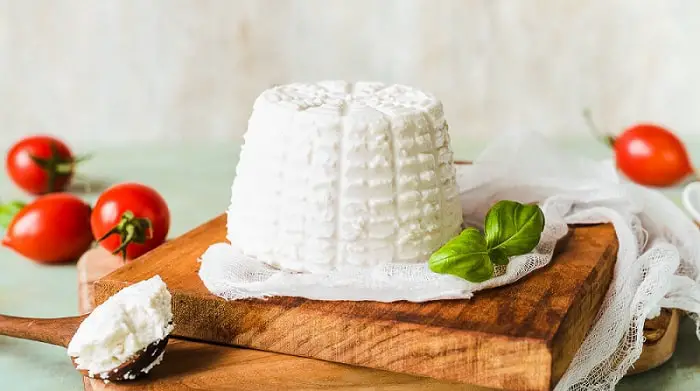 Ricotta Cheese Manufacturing