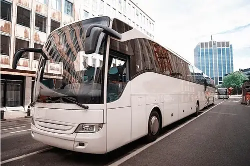 The Ultimate Guide to Charter Bus Transportation Services: What You Need to Know