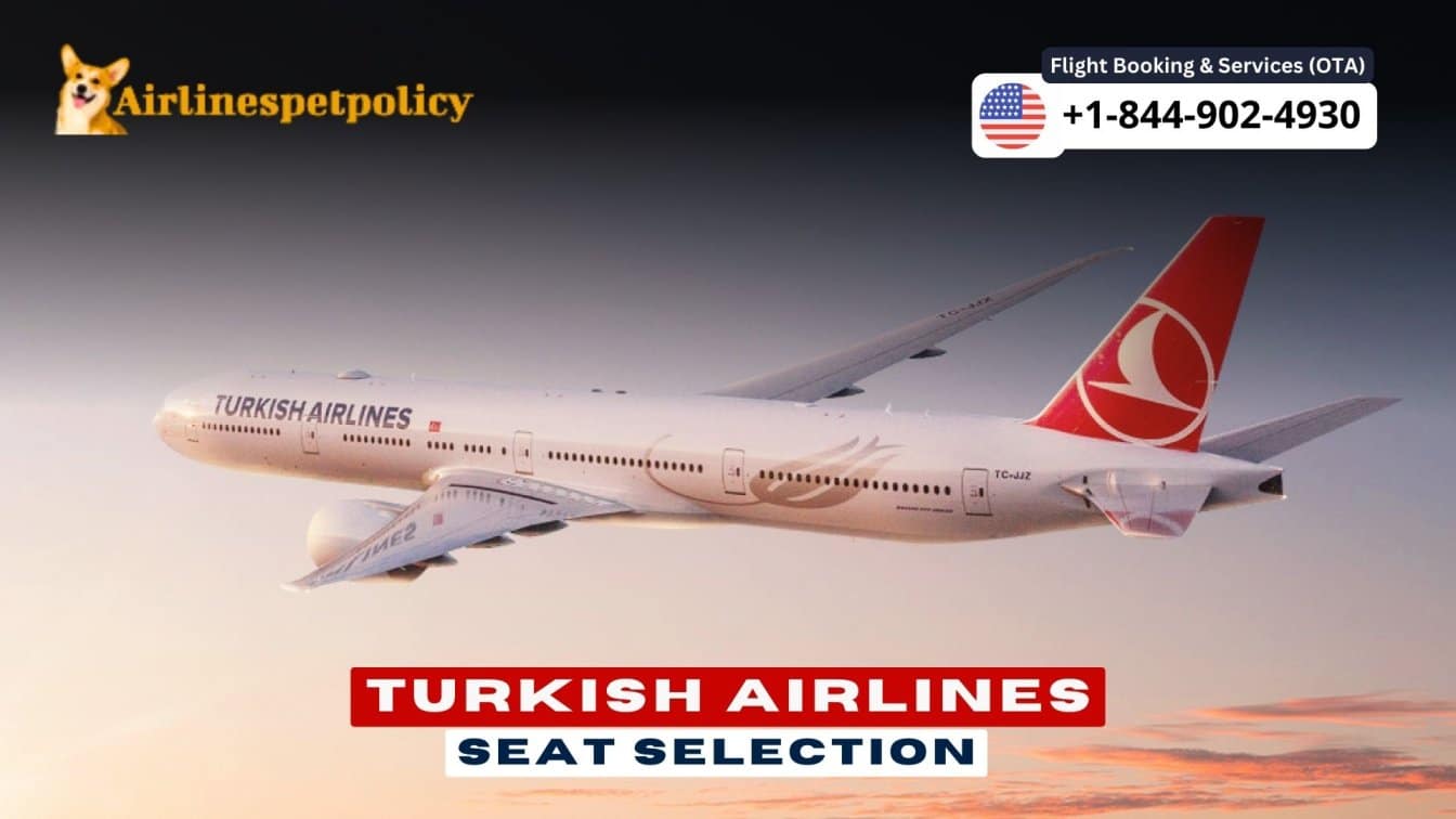 Turkish Airlines Seat Selection (1)