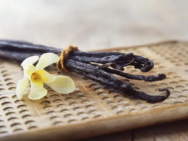 Vanilla Bean Processing Plant Project Report 2023: Comprehensive Business Plan