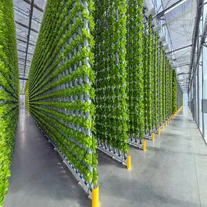 Vertical Farming Market Size, Trends, Growth Factors, and Forecast 2024-2032