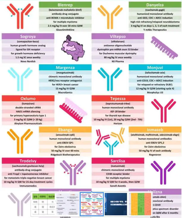 How to do a good job of biological analysis of peptide drugs?