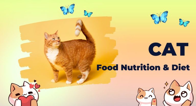 Cat Food Nutrition and Diet | Food for Cats