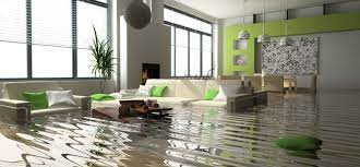 Insurance Made Easier: Coordinating Claims with Water Damage Professionals