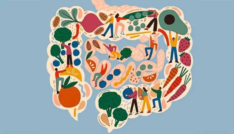 The Role of Gut Health in Functional Medicine Treatment: A Comprehensive Guide