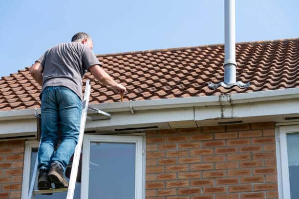 The Importance of Hiring a Professional Roof Cleaner for Your Home