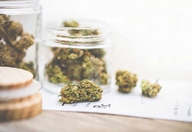 Medical Marijuana: A Guide to Buying and Using in Oakville