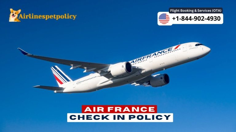 Air France Check In | Policy – Online Check In