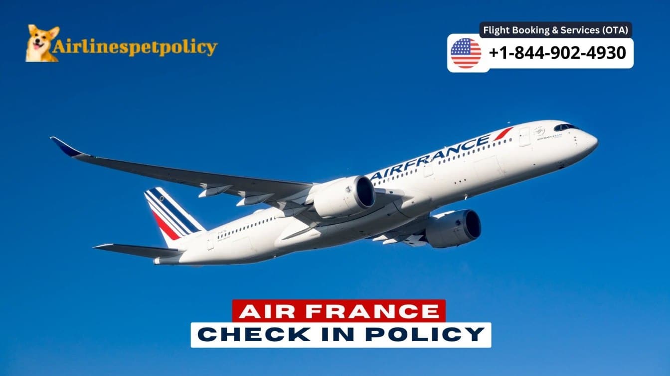 Air France Check In Policy