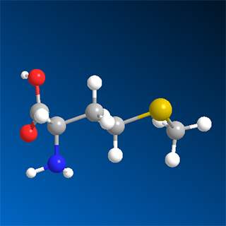 Amino Acids Market Size, Trends, Growth, Opportunity and Forecast 2024-2032