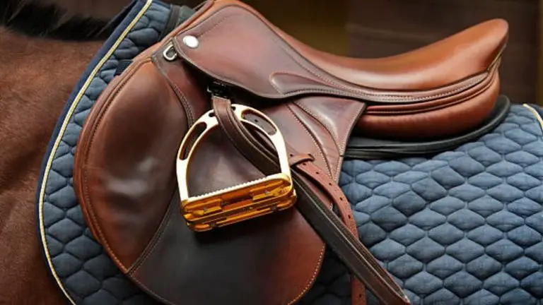The Pinnacle of Equestrian Excellence: Unveiling Antares Saddles in the Canadian Riding Scene