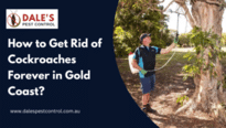 How to Get Rid of Cockroaches Forever in Gold Coast?