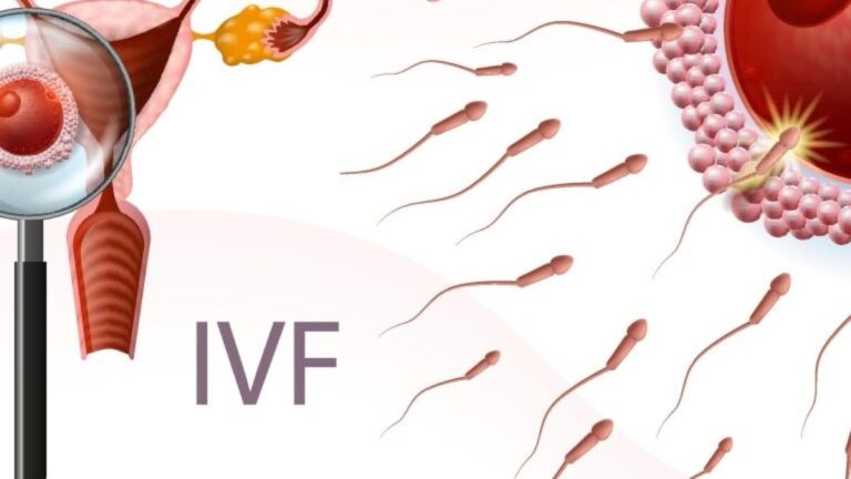 The Role of Nutrition in IVF Success: What to Eat and Avoid