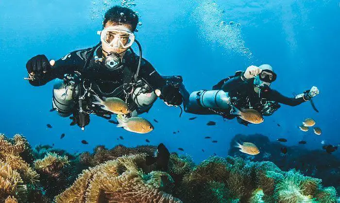 Exploring the Depths: A Comprehensive Guide to Koh Tao Scuba Diving