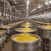 Mustard Sauce Manufacturing Plant Project Report 2024: Industry Trends and Plant Setup