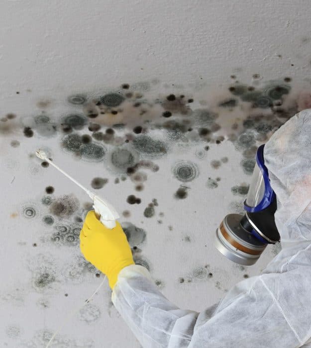 Factors To Consider Before Hiring Mold Inspection Experts