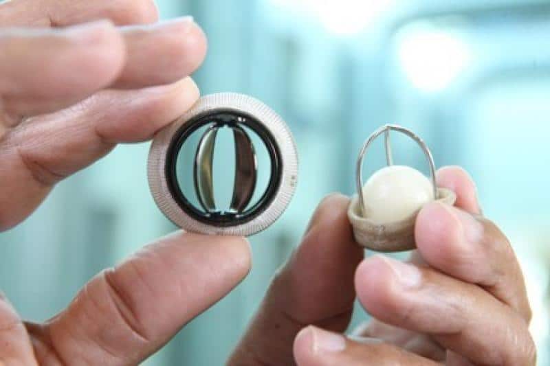 Prosthetic Heart Valve Industry