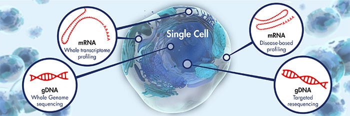 Global Single Cell Analysis Systems Industry Set to Surge to US$7.2 Billion, Sustaining 7.8% CAGR from 2023 to 2033