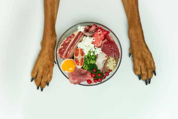 The Benefits of Barf Diet for Dogs: What You Need to Know