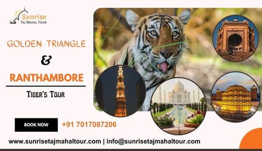 Enjoy the three major cities in India on a budget-friendly tour of the Golden Triangle with Ranthambore