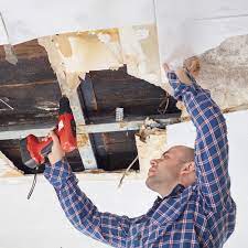 Comprehensive Guide to Water Damage Repair: Restoring Your Home to Its Former Glory