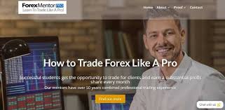 Mastering the Art of Forex Trading: The Role of Forex Mentoring