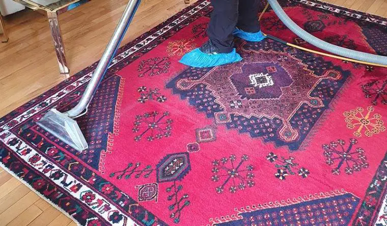 Everything You Need To Know About Persian Carpet Cleaning Service