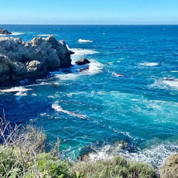 point-lobos-state-natural-reserve-13-600x600 (1)