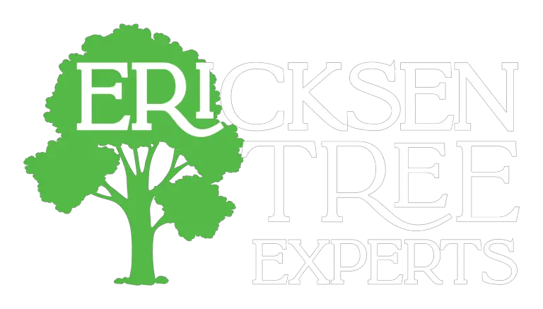 Elevate Your Landscape: Premium Edmonton Tree Services