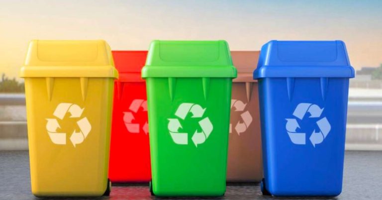 Revolutionising Waste Management: Eco-Friendly and Efficient Solutions