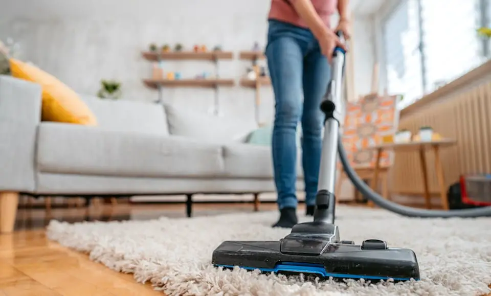 Carpet Cleaning